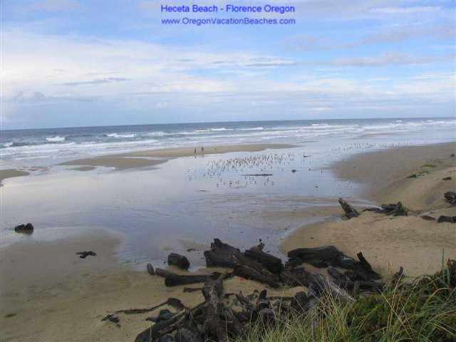 Heceta Beach - Pacific Ocean - Florence Oregon